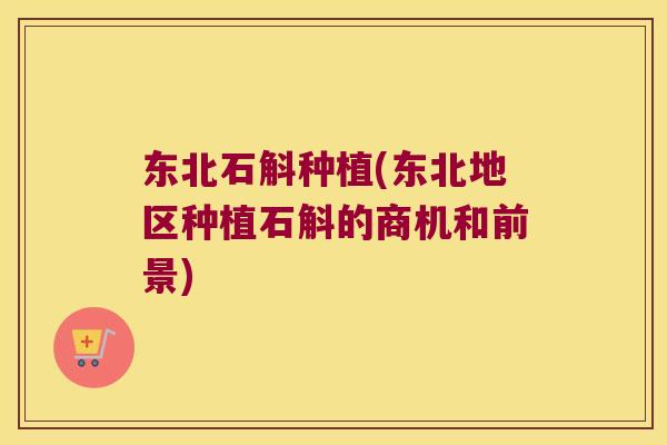 东北石斛种植(东北地区种植石斛的商机和前景)
