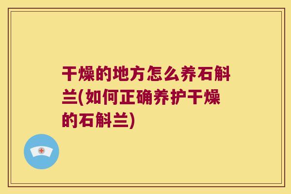 干燥的地方怎么养石斛兰(如何正确养护干燥的石斛兰)