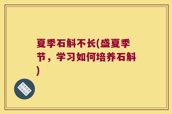 夏季石斛不长(盛夏季节，学习如何培养石斛)