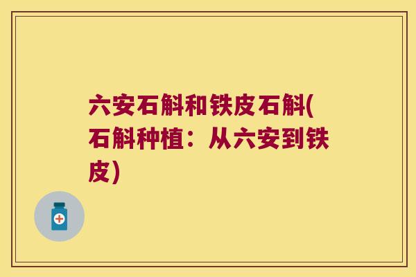 六安石斛和铁皮石斛(石斛种植：从六安到铁皮)