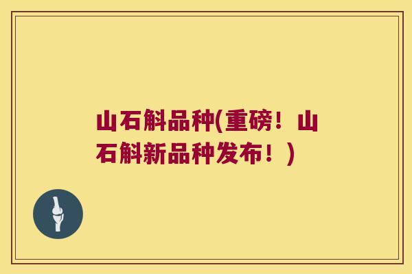 山石斛品种(重磅！山石斛新品种发布！)