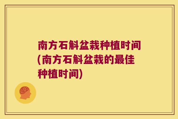 南方石斛盆栽种植时间(南方石斛盆栽的佳种植时间)