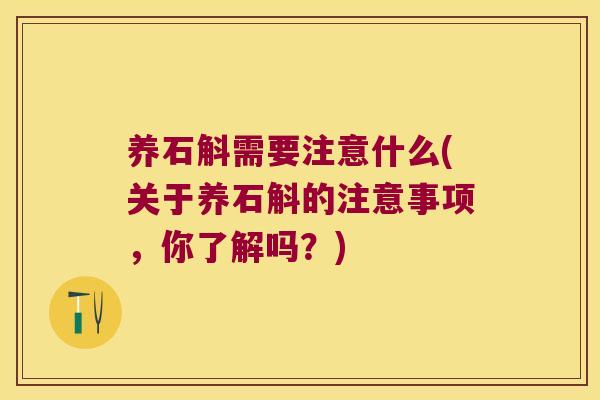 养石斛需要注意什么(关于养石斛的注意事项，你了解吗？)