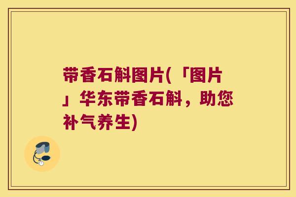 带香石斛图片(「图片」华东带香石斛，助您补气养生)