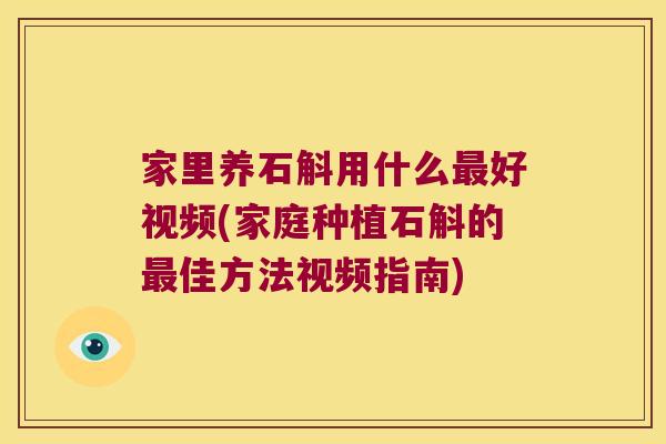 家里养石斛用什么好视频(家庭种植石斛的佳方法视频指南)