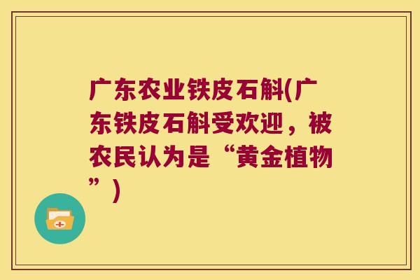 广东农业铁皮石斛(广东铁皮石斛受欢迎，被农民认为是“黄金植物”)
