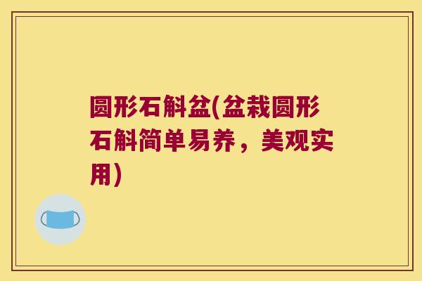 圆形石斛盆(盆栽圆形石斛简单易养，美观实用)