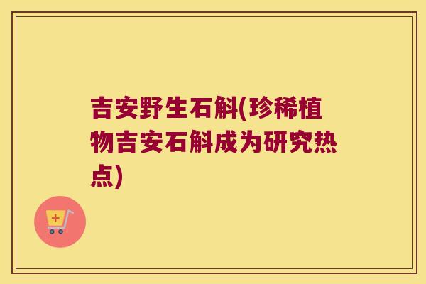 吉安野生石斛(珍稀植物吉安石斛成为研究热点)