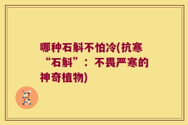 哪种石斛不怕冷(抗寒“石斛”：不畏严寒的神奇植物)