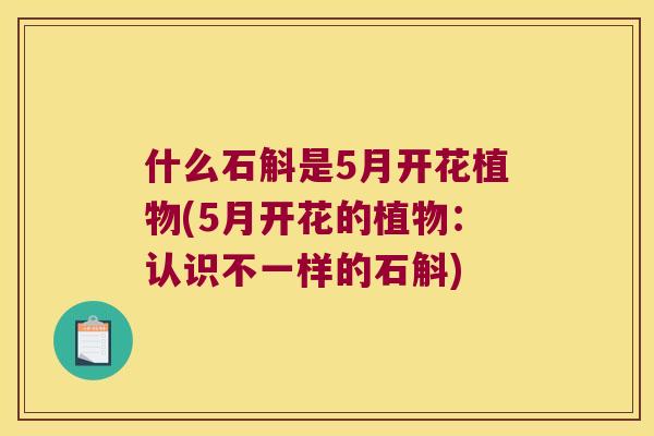 什么石斛是5月开花植物(5月开花的植物：认识不一样的石斛)
