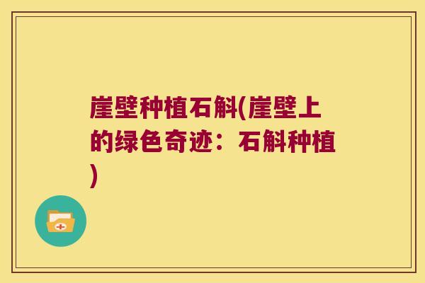 崖壁种植石斛(崖壁上的绿色奇迹：石斛种植)