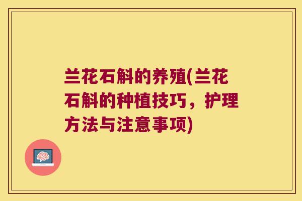 兰花石斛的养殖(兰花石斛的种植技巧，护理方法与注意事项)