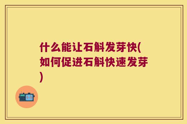 什么能让石斛发芽快(如何促进石斛快速发芽)