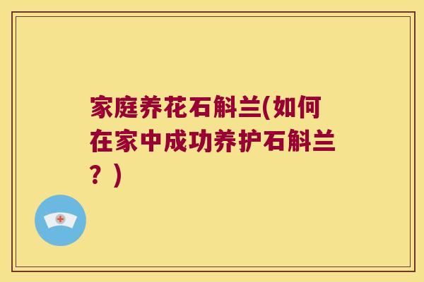 家庭养花石斛兰(如何在家中成功养护石斛兰？)