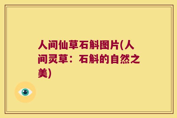 人间仙草石斛图片(人间灵草：石斛的自然之美)