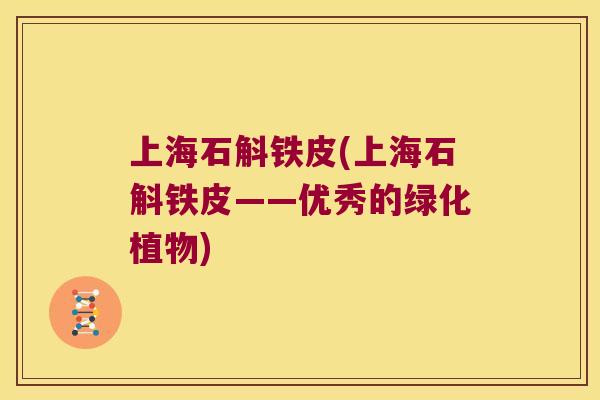 上海石斛铁皮(上海石斛铁皮——优秀的绿化植物) 上海石斛铁皮(上海石斛铁皮——优秀的绿化植物)