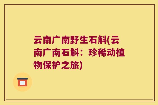 云南广南野生石斛(云南广南石斛：珍稀动植物保护之旅)