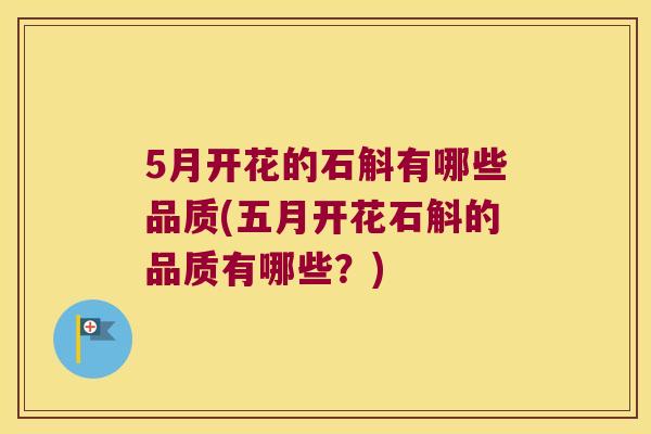 5月开花的石斛有哪些品质(五月开花石斛的品质有哪些？)