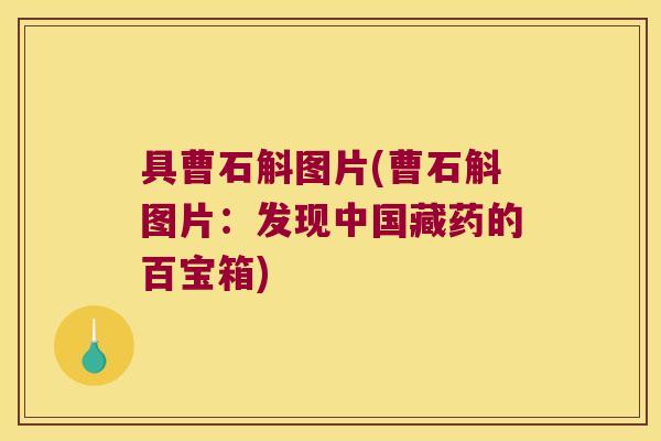 具曹石斛图片(曹石斛图片：发现中国藏药的百宝箱)