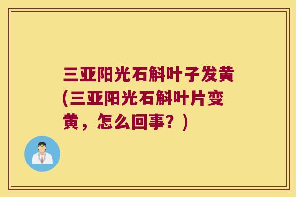 三亚阳光石斛叶子发黄(三亚阳光石斛叶片变黄，怎么回事？)