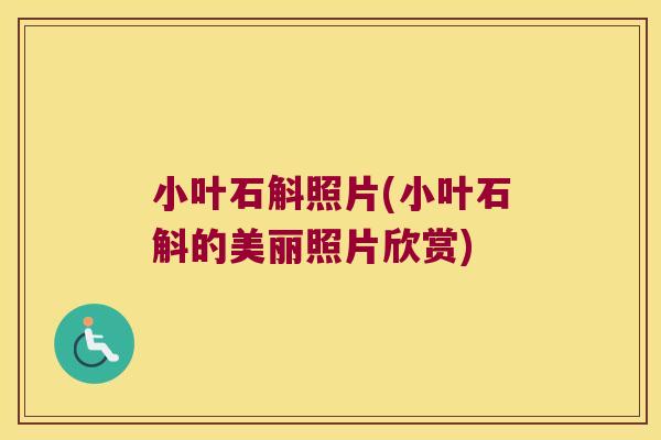 小叶石斛照片(小叶石斛的美丽照片欣赏)