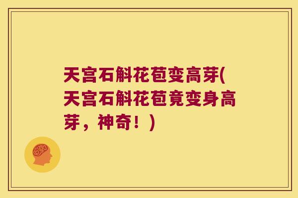 天宫石斛花苞变高芽(天宫石斛花苞竟变身高芽，神奇！)