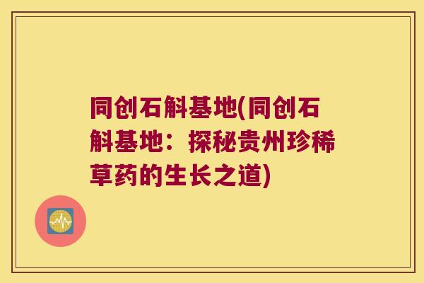 同创石斛基地(同创石斛基地：探秘贵州珍稀草药的生长之道)
