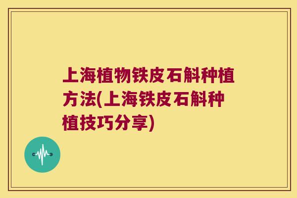 上海植物铁皮石斛种植方法(上海铁皮石斛种植技巧分享)