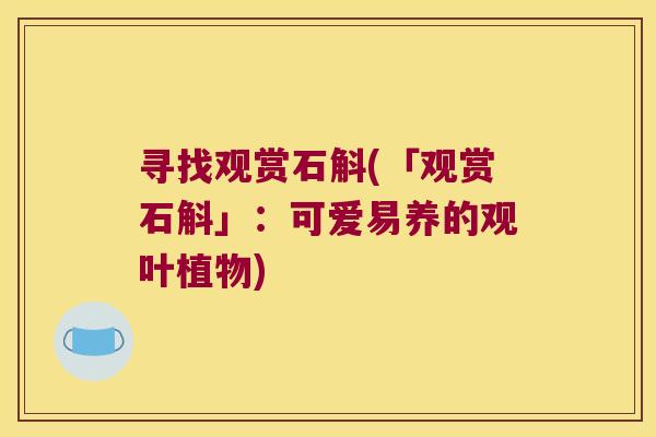 寻找观赏石斛(「观赏石斛」：可爱易养的观叶植物)
