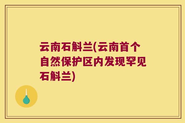 云南石斛兰(云南首个自然保护区内发现罕见石斛兰)
