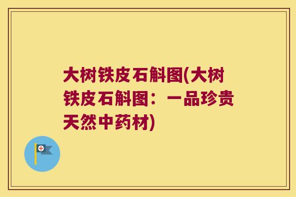 大树铁皮石斛图(大树铁皮石斛图：一品珍贵天然材)