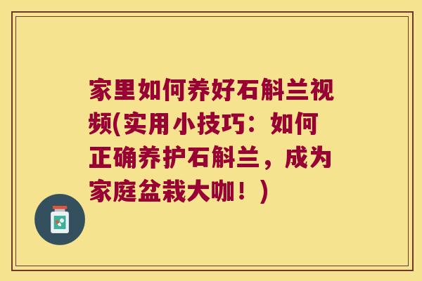 家里如何养好石斛兰视频(实用小技巧：如何正确养护石斛兰，成为家庭盆栽大咖！)