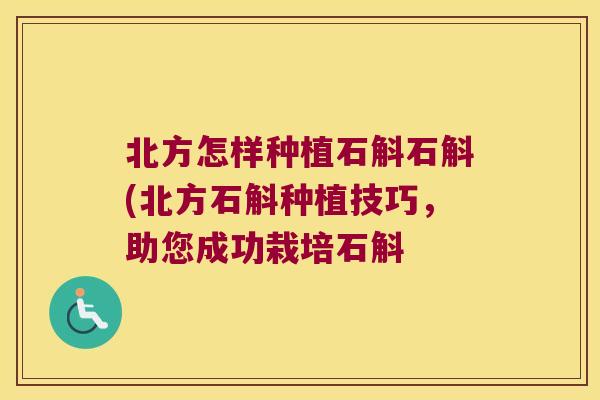 北方怎样种植石斛石斛(北方石斛种植技巧，助您成功栽培石斛