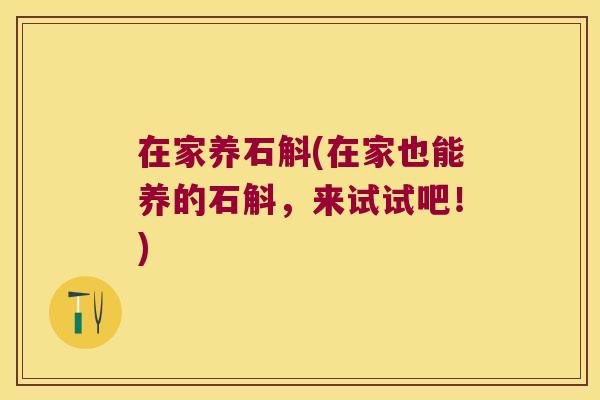 在家养石斛(在家也能养的石斛，来试试吧！)