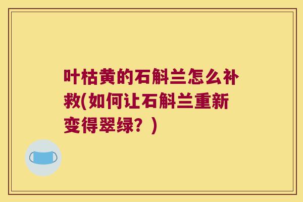 叶枯黄的石斛兰怎么补救(如何让石斛兰重新变得翠绿？)