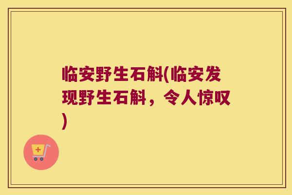 临安野生石斛(临安发现野生石斛，令人惊叹)