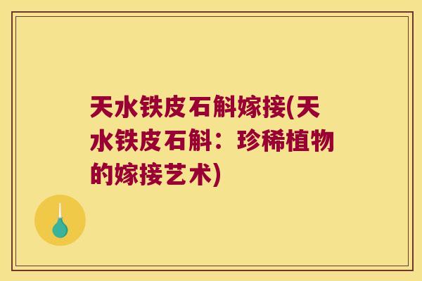 天水铁皮石斛嫁接(天水铁皮石斛：珍稀植物的嫁接艺术)