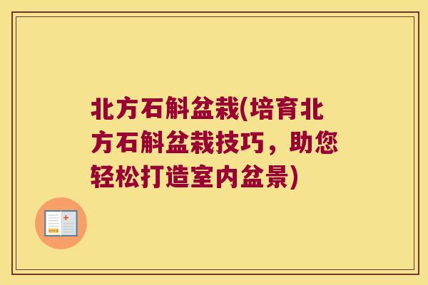 北方石斛盆栽(培育北方石斛盆栽技巧，助您轻松打造室内盆景)