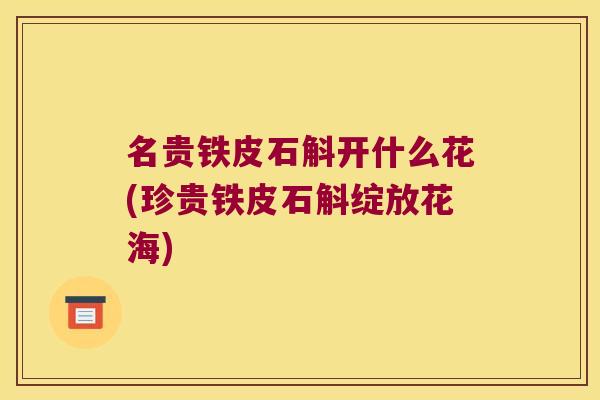 名贵铁皮石斛开什么花(珍贵铁皮石斛绽放花海)