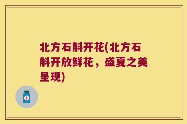 北方石斛开花(北方石斛开放鲜花，盛夏之美呈现)