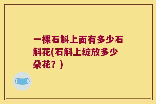 一棵石斛上面有多少石斛花(石斛上绽放多少朵花？)