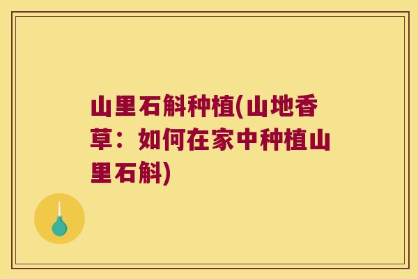 山里石斛种植(山地香草:如何在家中种植山里石斛) 山里石斛种植(山地香草:如何在家中种植山里石斛)