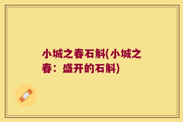 小城之春石斛(小城之春：盛开的石斛)