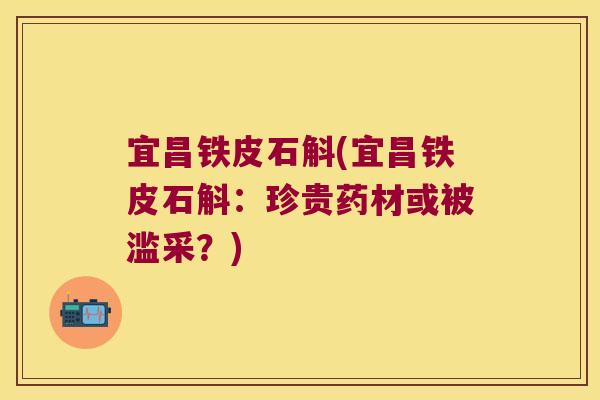 宜昌铁皮石斛(宜昌铁皮石斛:珍贵药材或被滥采?) 宜昌铁皮石斛(宜昌铁皮石斛:珍贵药材或被滥采?)