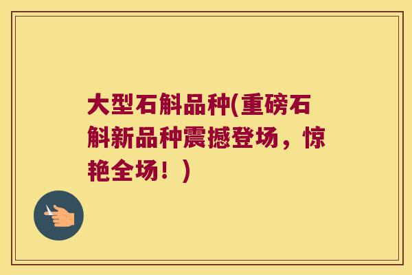 大型石斛品种(重磅石斛新品种震撼登场，惊艳全场！)