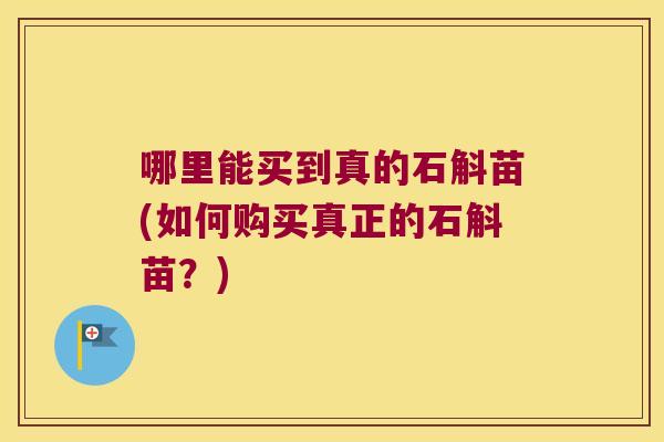 哪里能买到真的石斛苗(如何购买真正的石斛苗？)