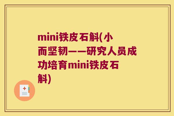 mini铁皮石斛(小而坚韧——研究人员成功培育mini铁皮石斛) mini铁皮石斛(小而坚韧——研究人员成功培育mini铁皮石斛)