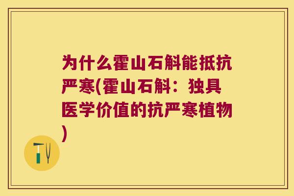 为什么霍山石斛能抵抗严寒(霍山石斛：独具医学价值的抗严寒植物)