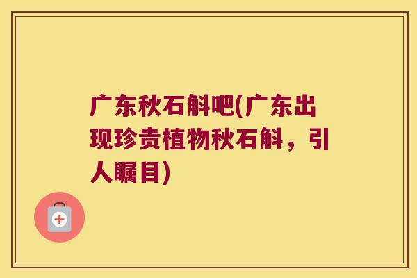 广东秋石斛吧(广东出现珍贵植物秋石斛，引人瞩目)