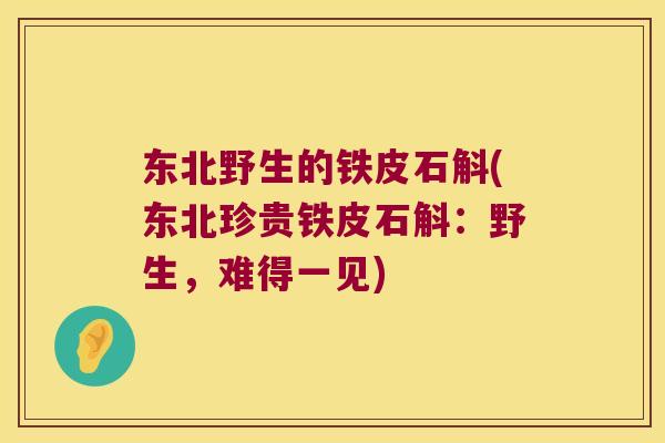 东北野生的铁皮石斛(东北珍贵铁皮石斛：野生，难得一见)